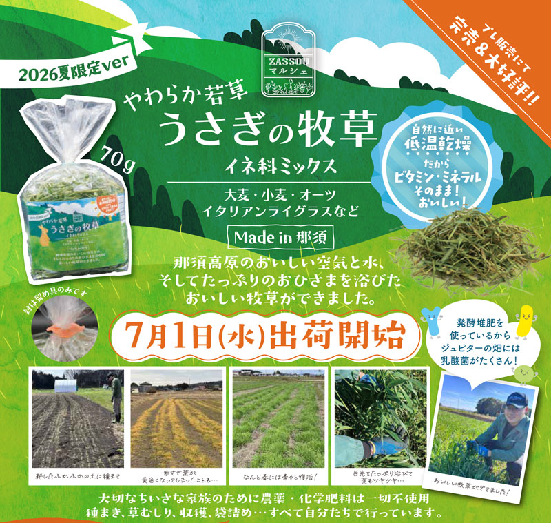 ������������2026�����ver  70g