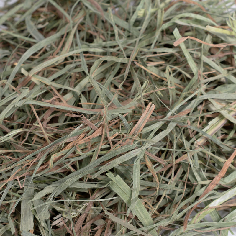 ڤᤷۥʥ2֥ץߥ 50g KTP2-P01
