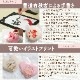�쾣�ߤޤ�פ����å�(���ࡧ��̣����90��)�ڥ��ե�������