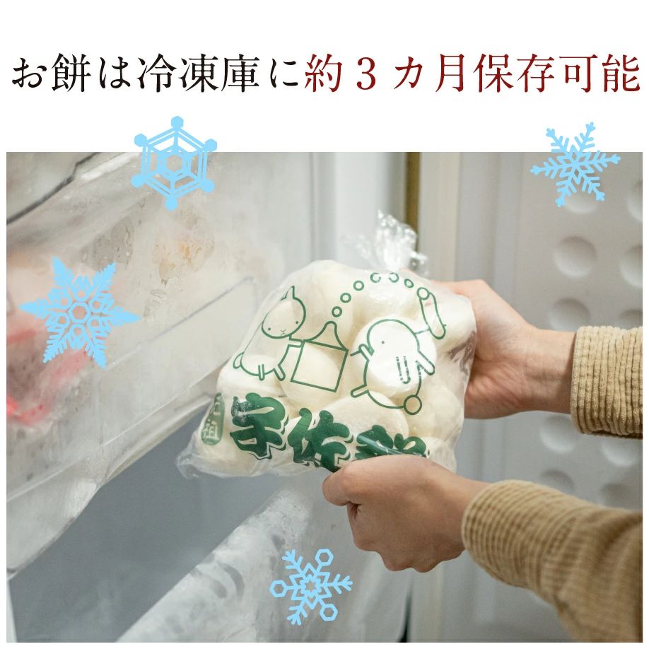 �߲��λ��ѥ��å�(���ࡧ��̣����30��)�ڥ��ե�������