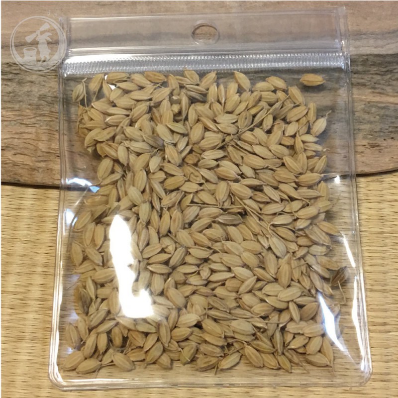 山梨県韮崎市産 無農薬籾(もみ)