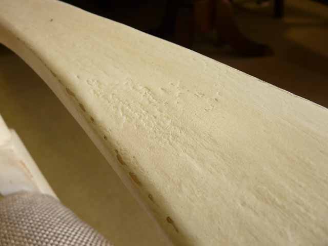 ڴָò ˥󥰥 ػ   ۥ磻 ܥ꡼ ե ȥ꡼ ƥ ƥĴ  ӡå 饷å ƥ  襤  ĥ  ե ˥  ˥󥰥å PaulaDeen996 UNIVERSAL