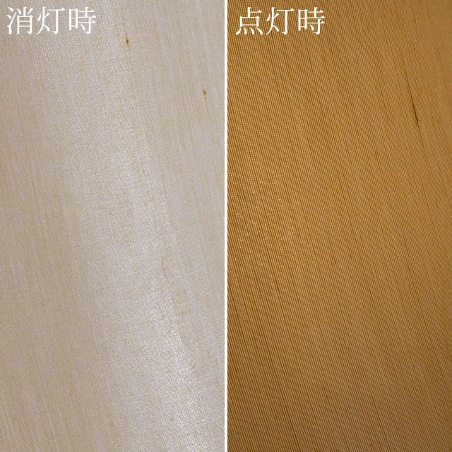 ץ  ƥ ƥĴ 饷å  ƥꥢ ѥ(ñ) SH7138