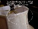 ץ  ƥ ƥĴ 饷å  ƥꥢ ѥ(ñ) SH7138