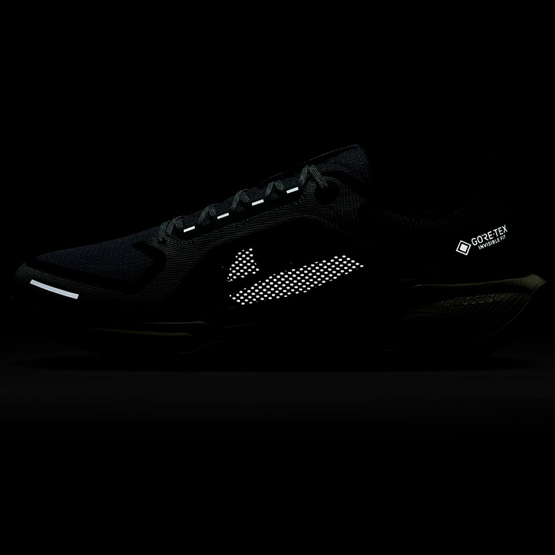 ナイキ NIKE エア ズーム ペガサス 41 GORE-TEX FQ1356-003