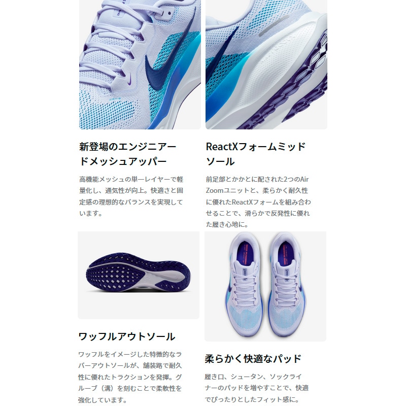 ナイキ NIKE エア ズーム ペガサス 41 FD2722-604 メンズ マラソン