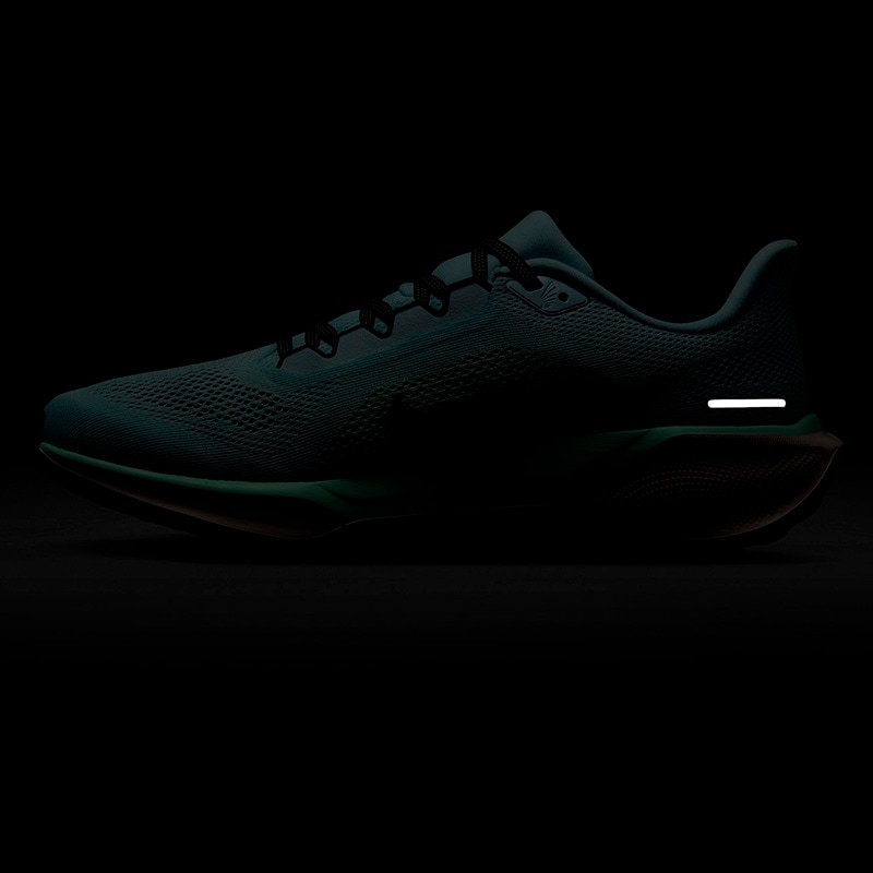 ナイキ NIKE エア ズーム ペガサス 41 FD2722-406 メンズ