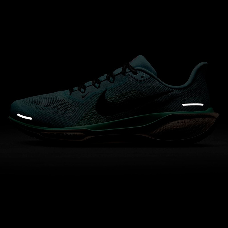 ナイキ NIKE エア ズーム ペガサス 41 FD2722-406 メンズ
