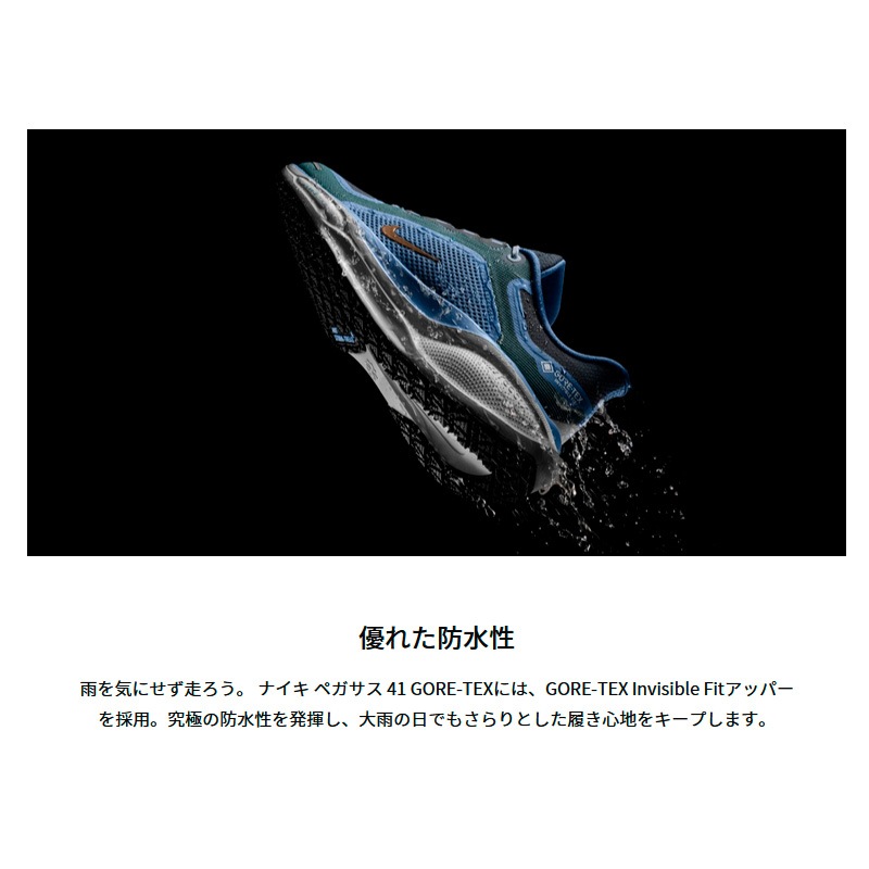 ナイキ NIKE WS エア ズーム ペガサス 41 GORE-TEX FQ1357-400