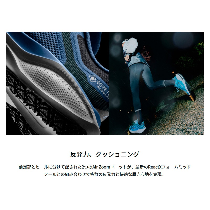 ナイキ NIKE WS エア ズーム ペガサス 41 GORE-TEX FQ1357-400