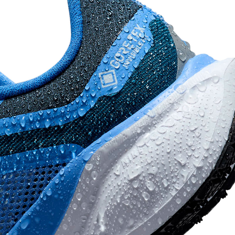 ナイキ NIKE WS エア ズーム ペガサス 41 GORE-TEX FQ1357-400