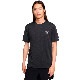 30OFF SALEۥʥ NIKE Dri-FIT 饤 365 ˥ ǥӥ DS/S ȥå FN3981-010   T 24SU