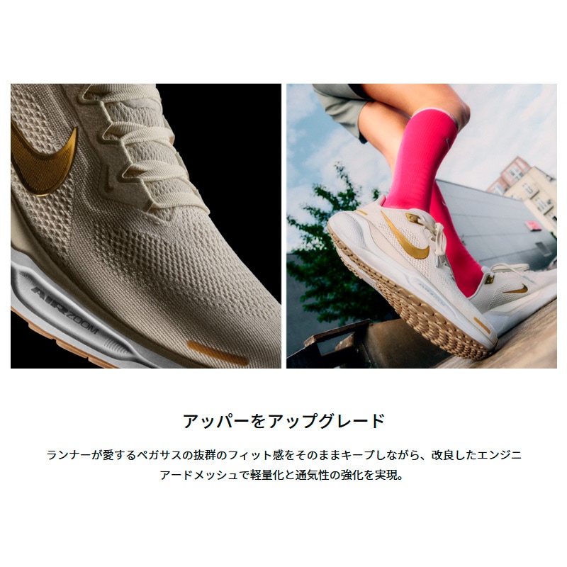 ナイキ NIKE エア ズーム ペガサス 41 FD2722-602 メンズ マラソン