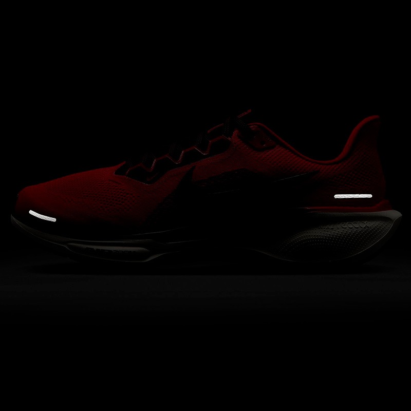 ナイキ NIKE エア ズーム ペガサス 41 FD2722-602 メンズ マラソン