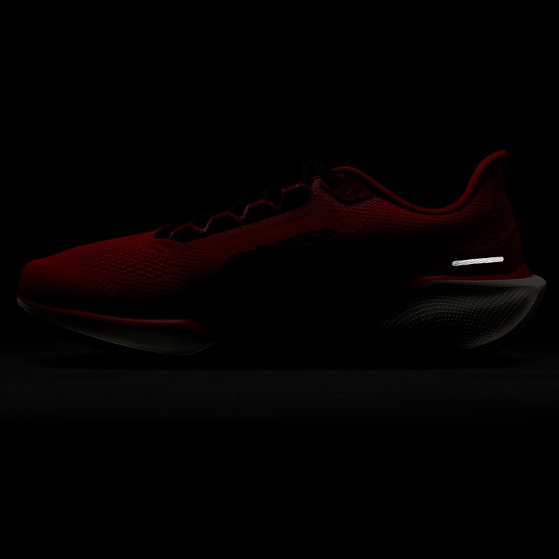 ナイキ NIKE エア ズーム ペガサス 41 FD2722-602 メンズ マラソン