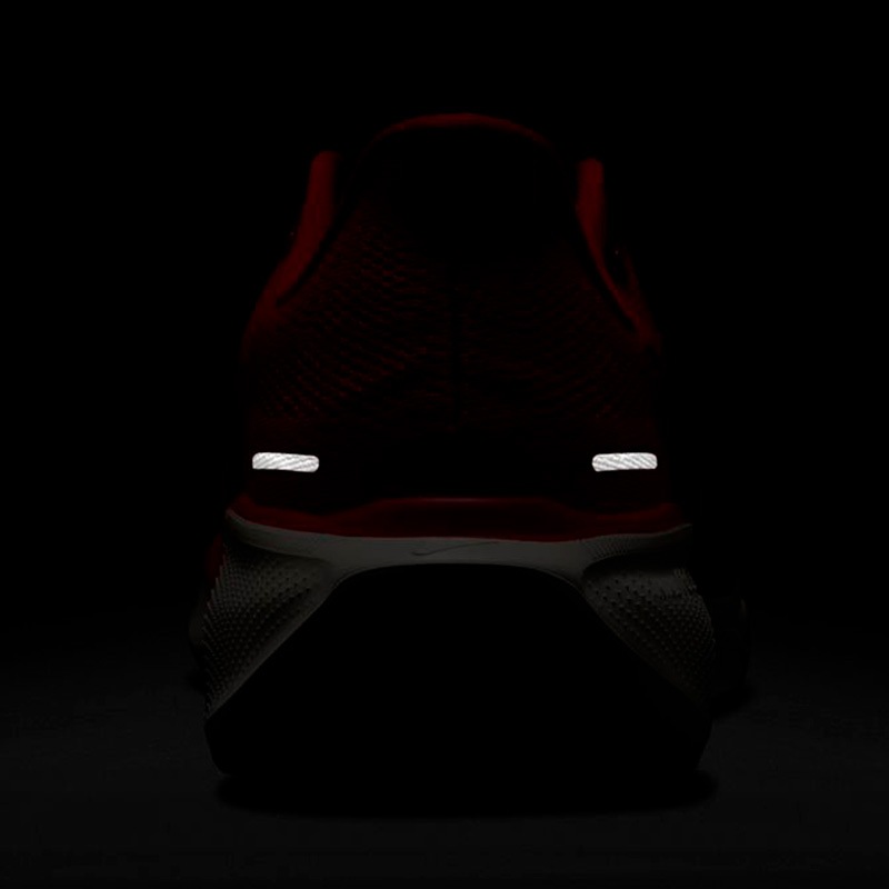 ナイキ NIKE エア ズーム ペガサス 41 FD2722-602 メンズ マラソン