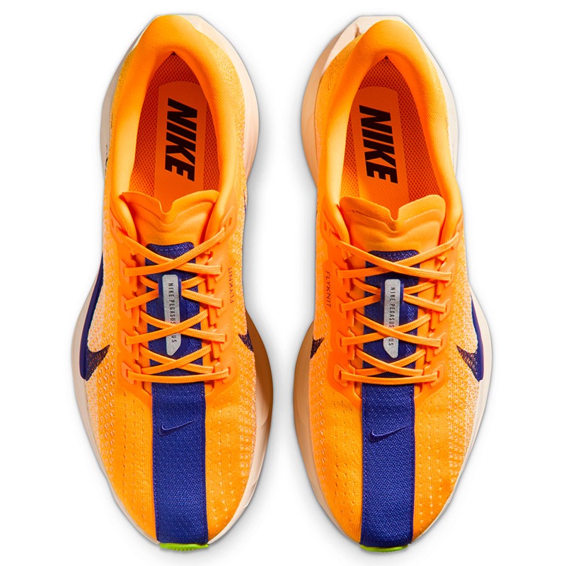 ナイキ NIKE エア ズーム ペガサス プラス FQ7262-801 メンズ ロード