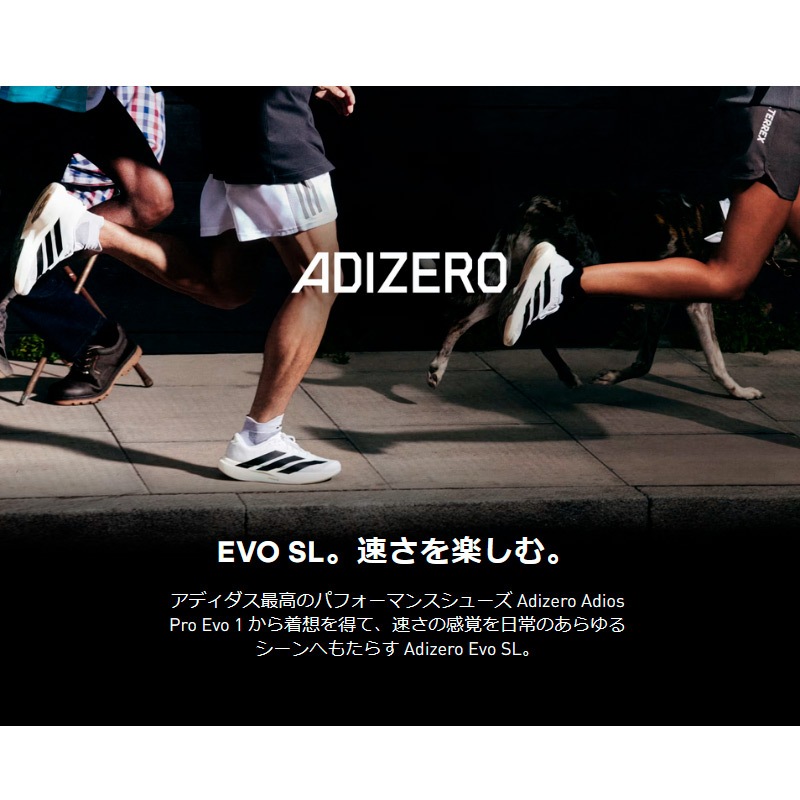 ǥ adidas ǥ EVO SL W JS4452 ǥ ˥ 졼 塼 25FW EVOSL