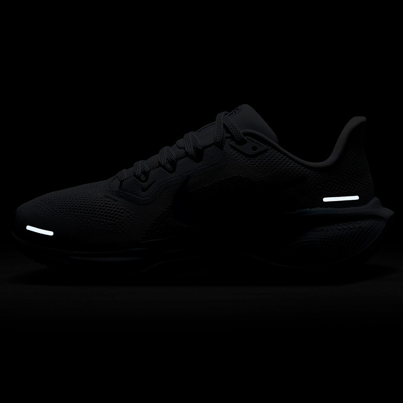 ナイキ NIKE WS エア ズーム ペガサス 41 FD2723-006 レディース