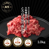  ڤȤ µ ¿ A5 Ȥ ڤȤ äפ 1.0kg500g2  ̵ 