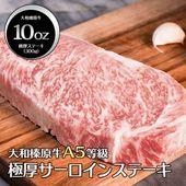   ¿ ˸  ˥塼衼å ơ 10󥹡300g̵  µ A5 