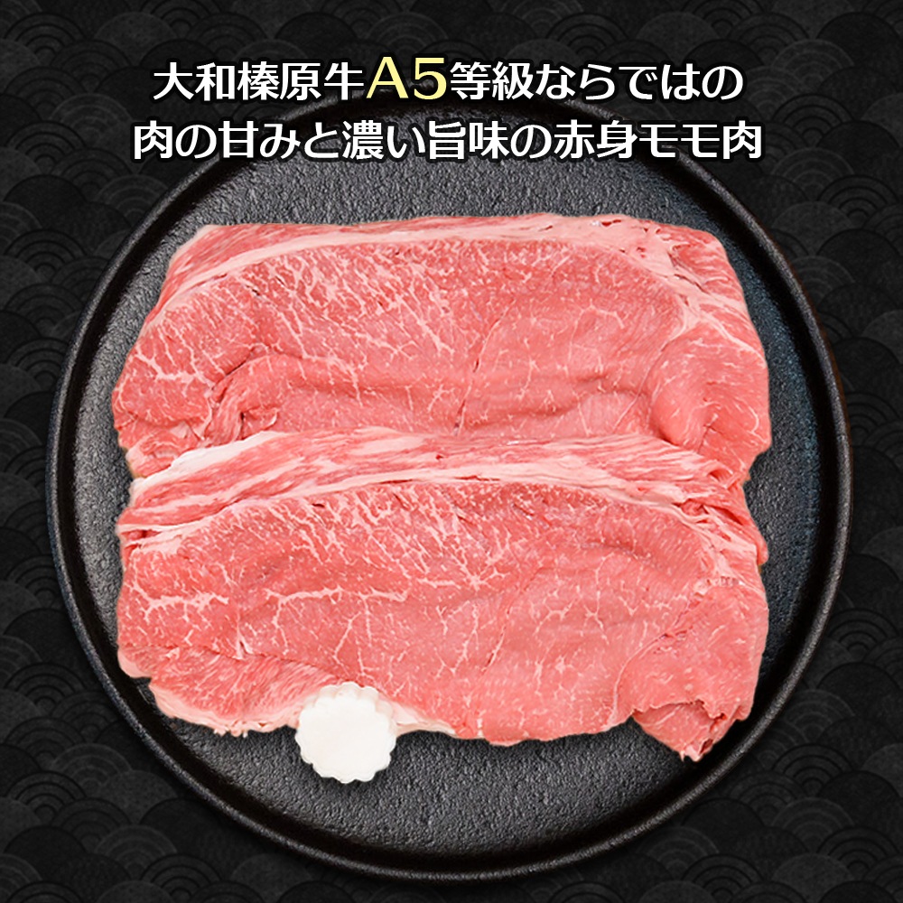 ¿ µ A5 ֿȥ 700g Ƥ ̵    䤭 䥭  