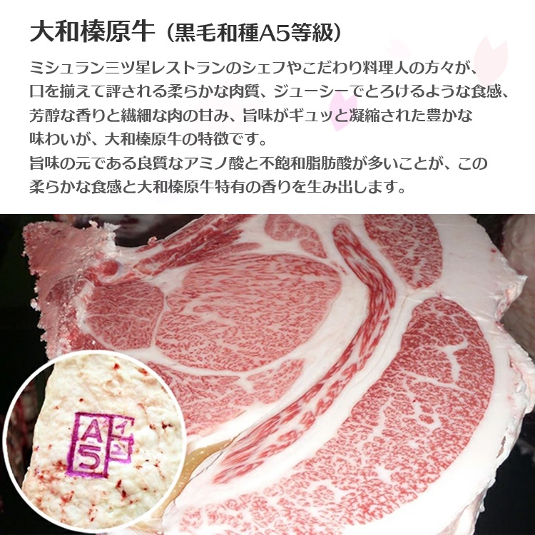 ¿ ȥӡ ꥸʥ  180g ̵ µ A5 