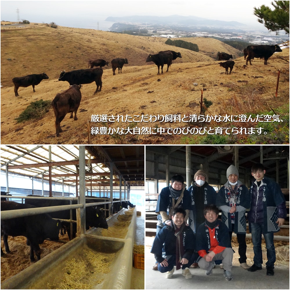  ߥե ¿ µ A5 ȡ֥ꥢ ơ 150g2 Ȣ ̵     £ £ʪ 