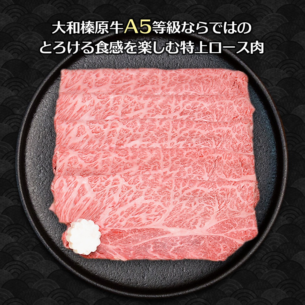  ߥե ¿ µ A5 þ 500g Ƥ Ȣ ̵    䤭 䥭  £ £ʪ 