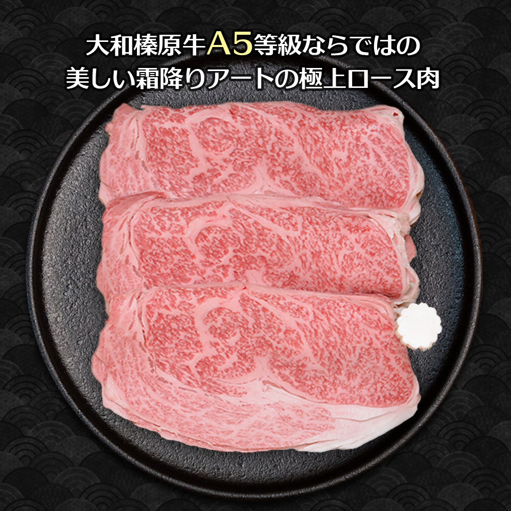 渵 ե ¿ µ A5 ˾ 720g Ƥ Ȣ ̵    䤭 䥭  £ £ʪ 