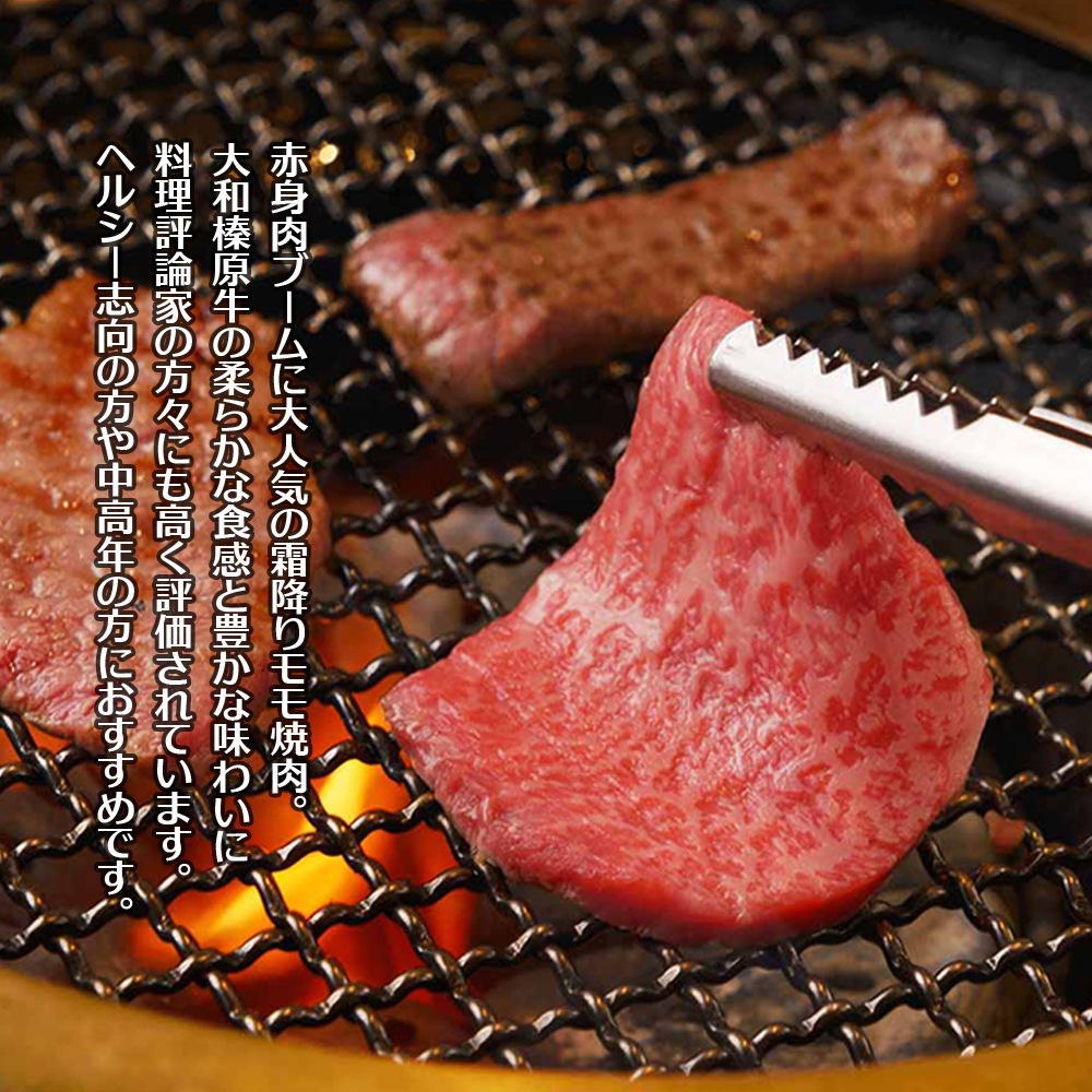 ¿ µ A5 ߤ  300g    Ƥ 䤭ˤ 䥭˥ դƤ ־Ƥ 