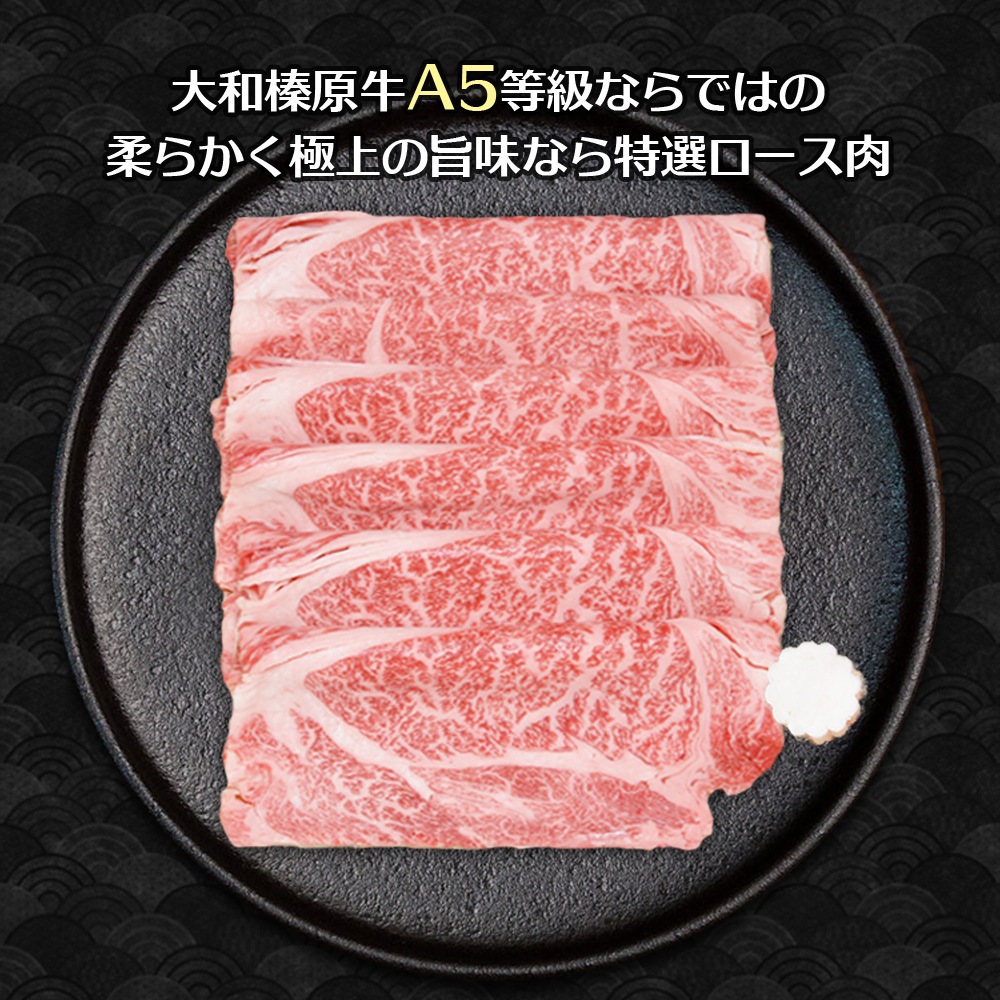 渵 ե ¿ µ A5  600g Ƥ եȢ ̵    䤭 䥭  £ £ʪ 