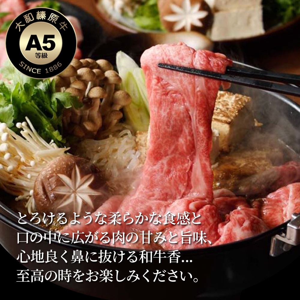 渵 ե ¿ µ A5  600g Ƥ եȢ ̵    䤭 䥭  £ £ʪ 
