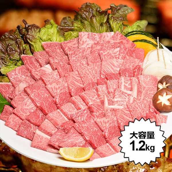  µ A5 ¿ ץߥ С٥塼 BBQ å 1.2kg ̵ 