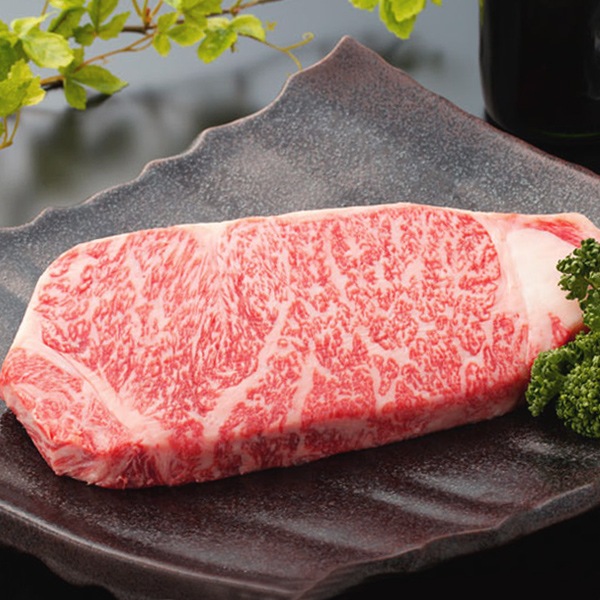  µ A5 ¿ ץߥ С٥塼 BBQ å 1.2kg  ˸󥹥ơ 300g ̵ 