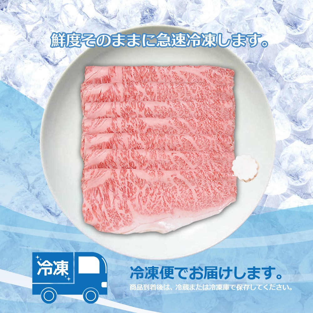 渵 ե ¿ µ A5 ˾ 300g Ƥ եȢ ̵    䤭 䥭  £ £ʪ 
