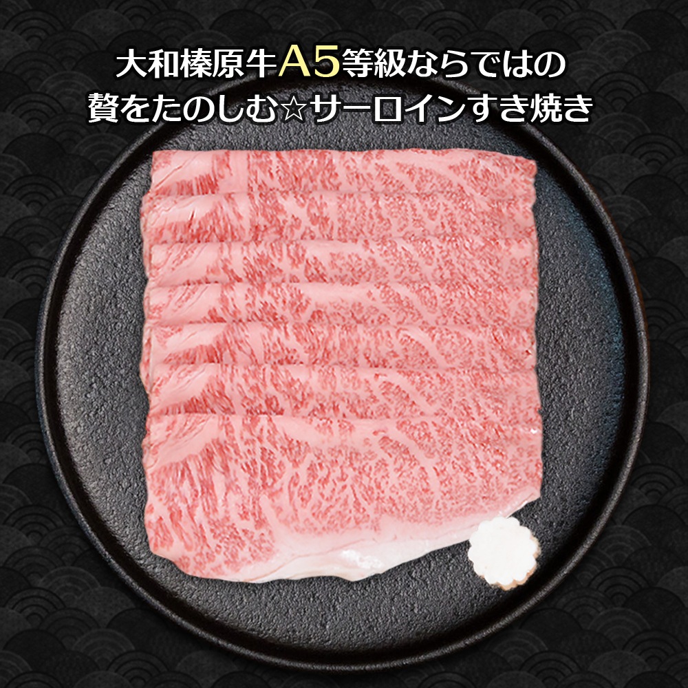 渵 ե ¿ µ A5 ˾ 300g Ƥ եȢ ̵    䤭 䥭  £ £ʪ 
