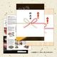 渵 ե ¿ µ A5 ˾ 300g Ƥ եȢ ̵    䤭 䥭  £ £ʪ 