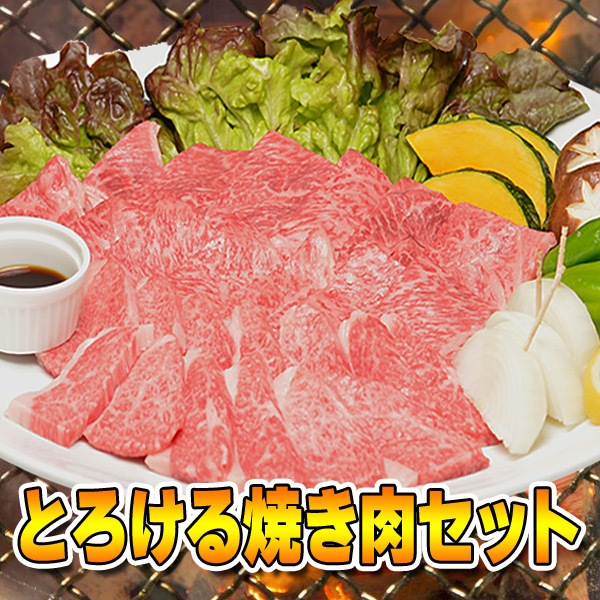  µ A5 ¿ ȤƤå  400g  200g ܶ˾Х 200g / 23 ̵ 