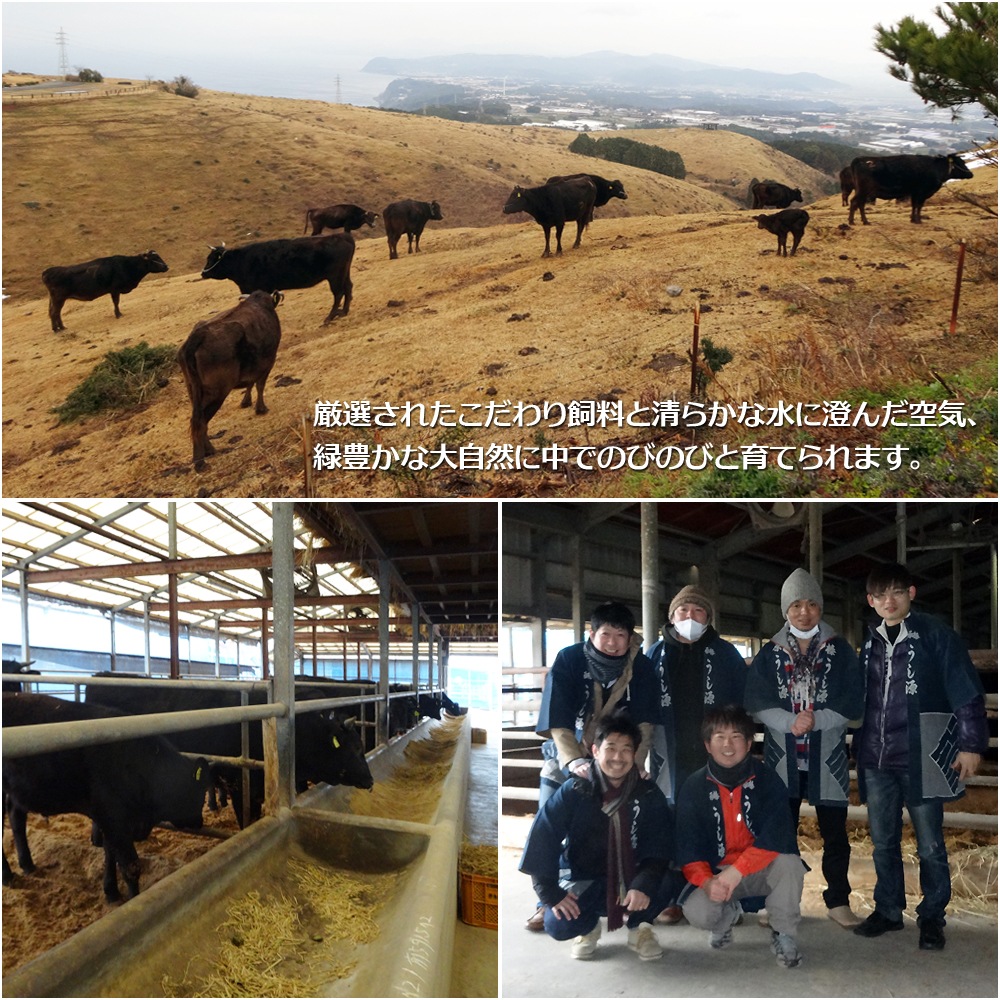  ߥե ¿ µ A5 ˾ 400g Ƥ եȢ ̵    䤭 䥭  £ £ʪ 