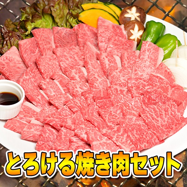  µ A5 ¿ ȤƤå  1.25kg  250gܶ˾Х 250gߤ 250gڥХ 250gܷܥ 250g / 78 ̵ 