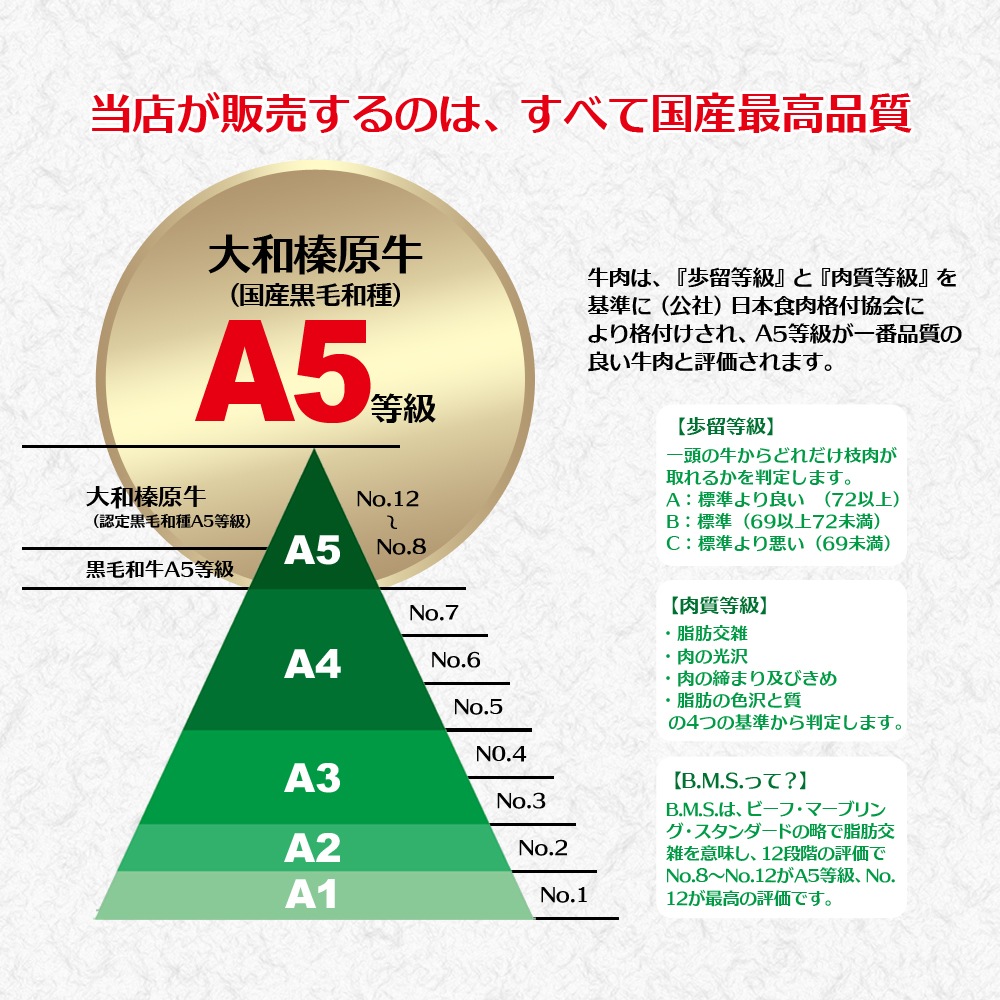 ¿ µ A5 ˾奫  300g    Ƥ 䤭ˤ 䥭˥ դƤ ־Ƥ 