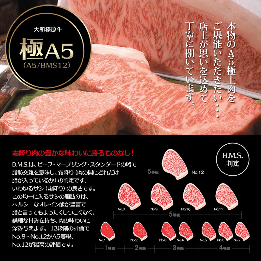 ¿ 6 600g   å ߤ      100g ̵ µ  A5 Ƥ 䥭˥ 䤭ˤ 