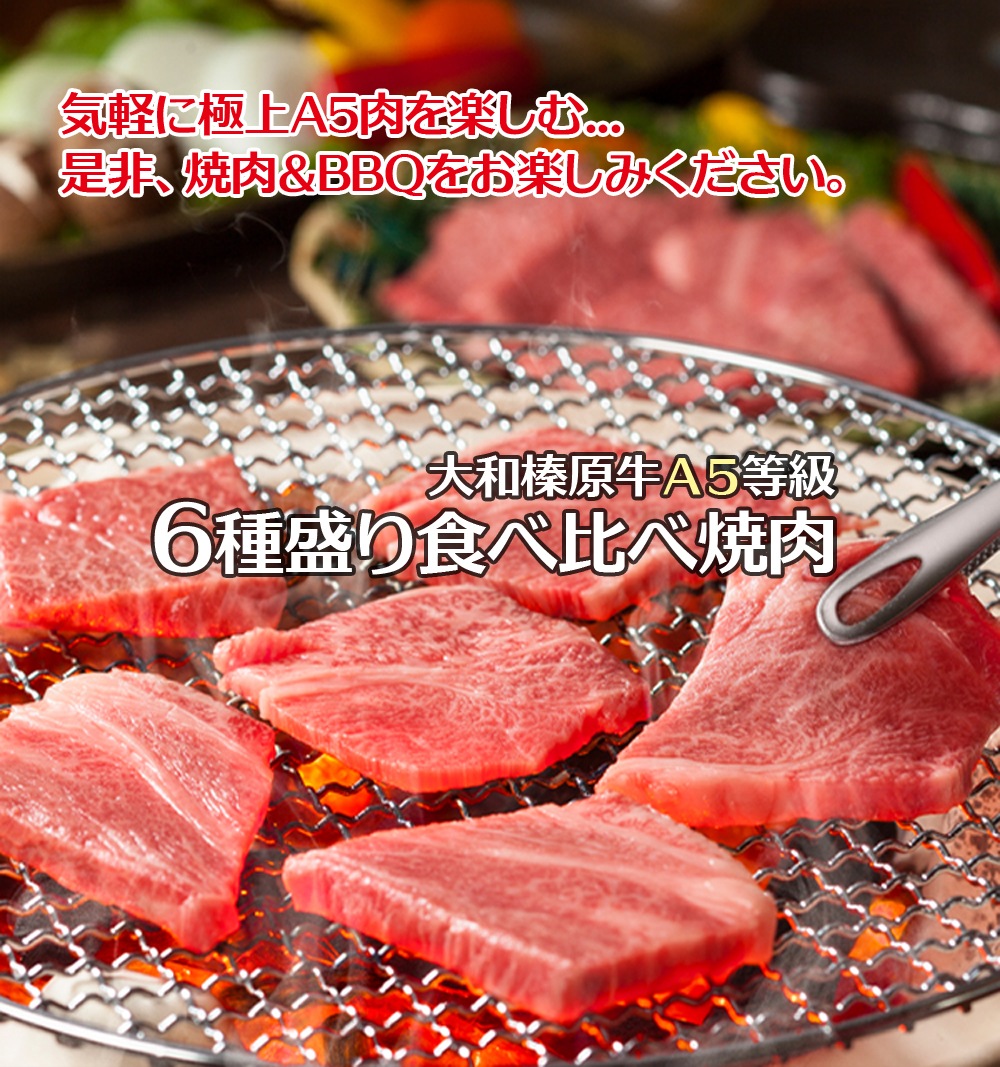 ¿ 6 600g   å ߤ      100g ̵ µ  A5 Ƥ 䥭˥ 䤭ˤ 