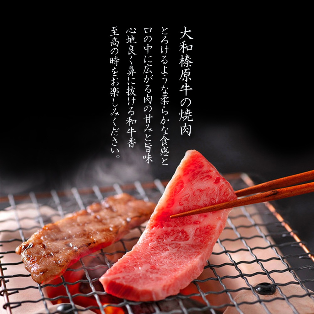 ¿ 6 600g   å ߤ      100g ̵ µ  A5 Ƥ 䥭˥ 䤭ˤ 