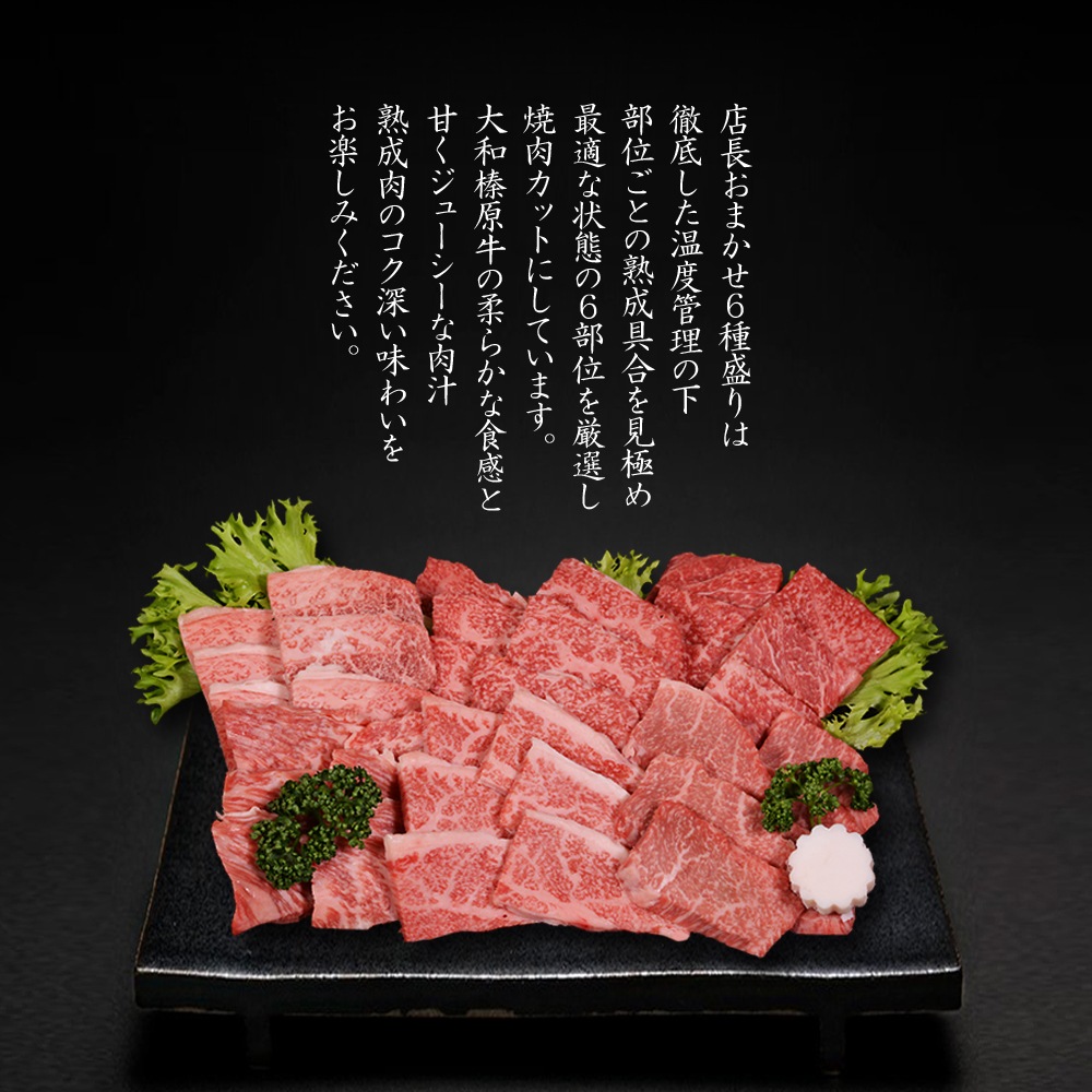 ¿ 6 600g   å ߤ      100g ̵ µ  A5 Ƥ 䥭˥ 䤭ˤ 