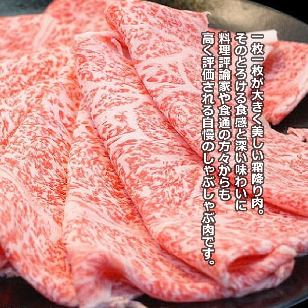  ߥե ¿ µ A5 ߤ 300g  ˾ 300g ֤ Ȣ ̵     £ £ʪ 