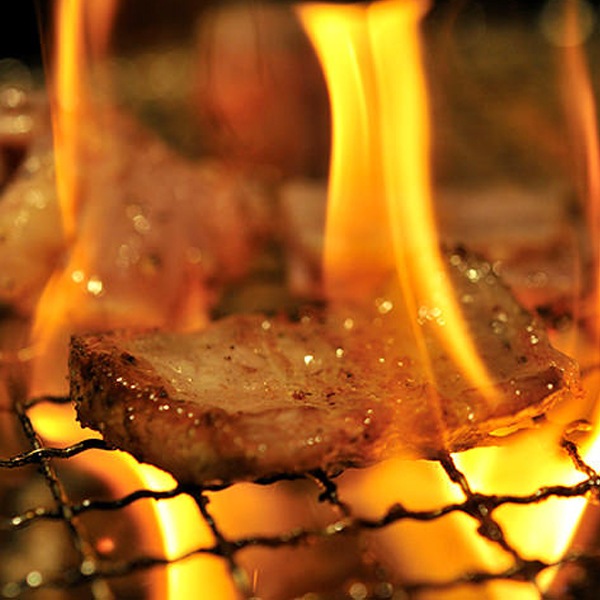 ڤھå 2.36kg ڥ120g4120g4ڥХåȡ500gڤȤ500g10ܡץ졼ȡ졧2 ̵ 