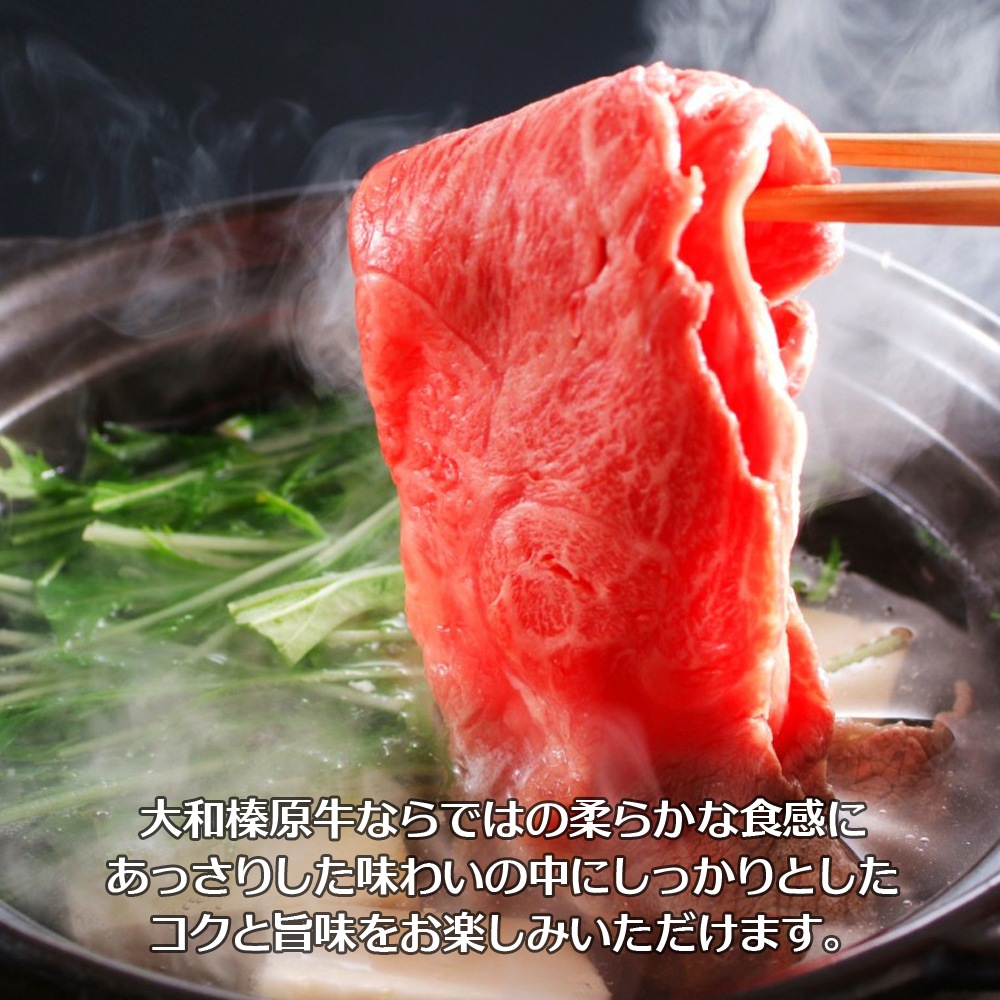  ߥե ¿ µ A5 þ 700g ֤ Ȣ ̵     £ £ʪ 