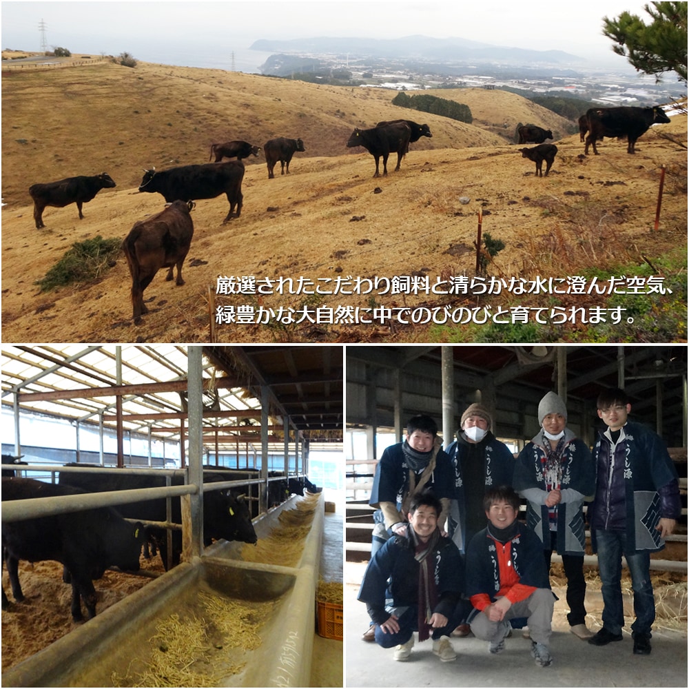  ߥե ¿ µ A5  400g ֤ եȢ ̵     £ £ʪ 